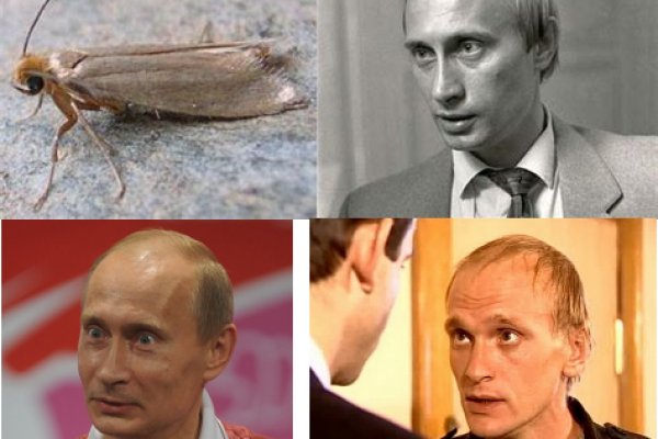 Кракен зеркало 2025