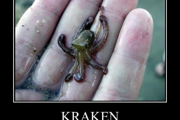 Кракен клир